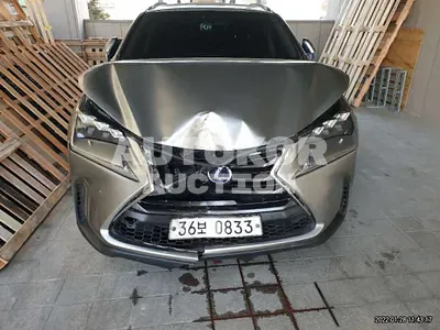 2016, Lexus / NX 300, VIN: JTJBJRBZ0G2039186, 100680 км., hybrid