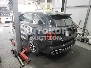 2021, Kia / Sorento, VIN: KNARK81BGMA092596, 50000 км., diesel, 2151 куб.см.