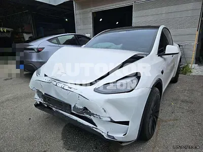 2024, Tesla / Model Y, 74921 км., electric