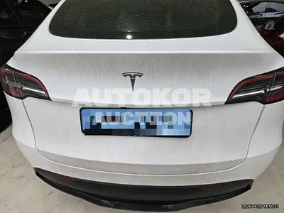 2025, Tesla / Model Y, electric