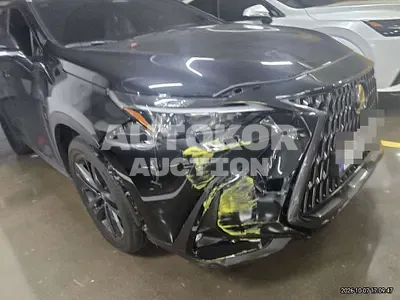 2024, Lexus / nx350h, 15000 км., hybrid
