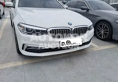 2018, BMW / 520, VIN: WBAJK7102JBP71083, 65862 км., gas