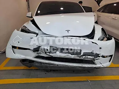 2022, Tesla / Model Y, VIN: 7SAYGDEE4NF566930, 63000 км., electric