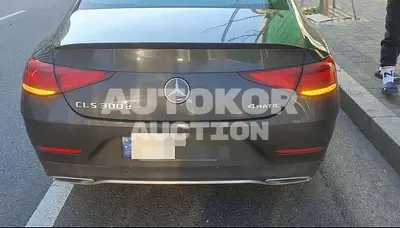 2023, Mercedes-Benz / CLS 300, 31519 км., diesel, 1993 куб.см.