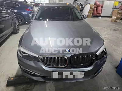 2020, BMW / 520, 28582 км., gas