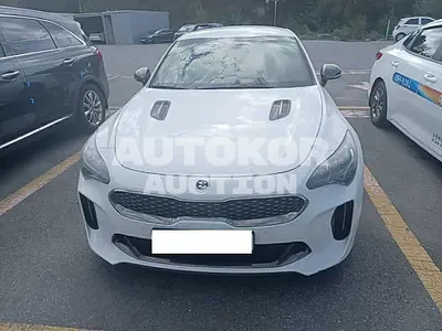 2020, Kia / Stinger, VIN: KNAE351ADLS069348, 33655 км., gas