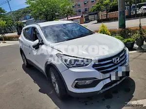 2017, Hyundai / Santa FE, VIN: KMHSW81UBJU841819, 120000 км., diesel