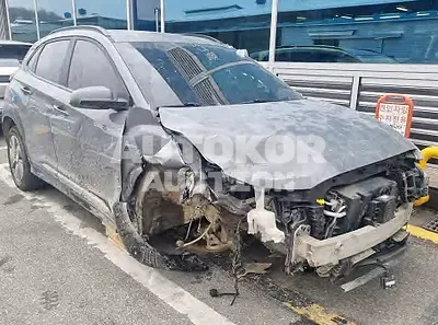 2019, Hyundai / Kona, VIN: KMHK281GFKU008895, electric