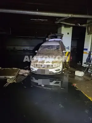 2020, Volkswagen / Tiguan, VIN: WVGZZZ5NZLW405014, 26000 км., diesel