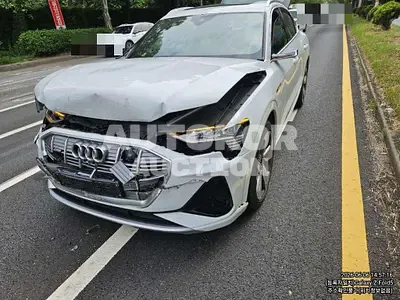 2022, Audi / e-tron sportback, 54983 км., electric