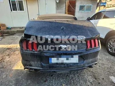 2023, Ford / Mustang, gas