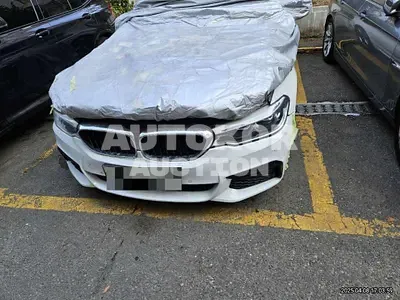 2017, BMW / 530, 235302 км., gas
