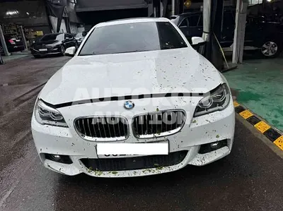 2016, BMW / 520, VIN: WBA5E5108GG208872, 172315 км., diesel