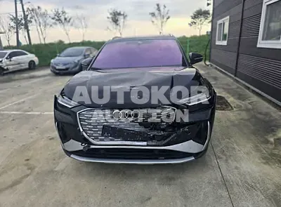 2022, Audi / q4 e-tron, electric
