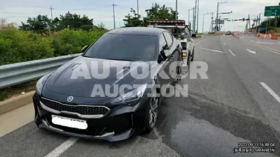 2020, Kia / Stinger, VIN: KNAE351ABLS084289, 49000 км., gas