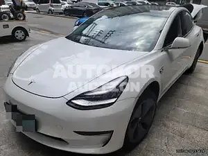 2020, Tesla / Model 3, 35784 км., electric