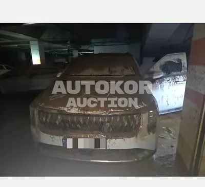 2024, Kia / Carnival, 50000 км., hybrid, 1600 куб.см.