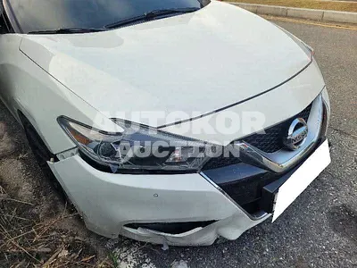 2016, Nissan / Maxima, VIN: 1N4AA6APXGC438989, 181825 км., gas