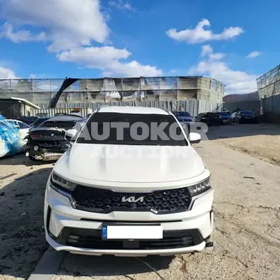 2023, Kia / Sorento, VIN: KNARM81GBPA221801, hybrid, 1600 куб.см.