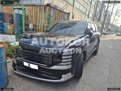 2025, Hyundai / Palisade, VIN: KMHRK81ADTU026315, hybrid, 2497 куб.см.