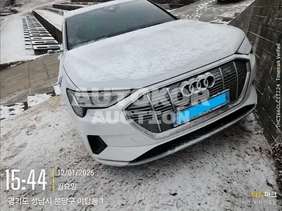 2020, Audi / e-tron, VIN: WAUZZZGE4LB028215, 174103 км., electric, 1 куб.см.