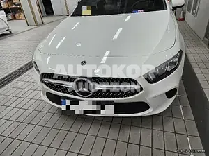 2022, Mercedes-Benz / A 220, VIN: W1K3G4EB0PJ387136, 25616 км., gas