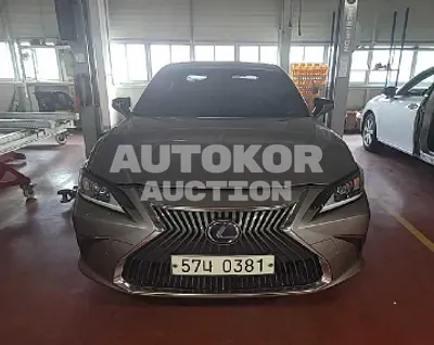 2019, Lexus / ES 300, VIN: JTHB21B13K2038973, 82000 км., hybrid