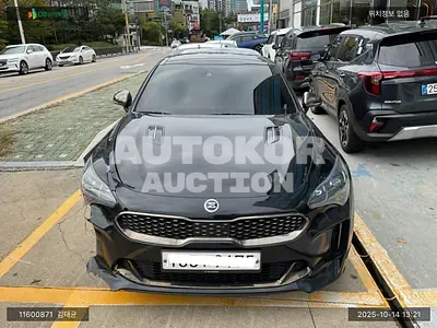 2020, Kia / Stinger, VIN: KNAE751CDLS084699, 101201 км., gas, 3342 куб.см.