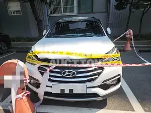 2017, Hyundai / Santa FE, 36000 км., diesel, 1995 куб.см.