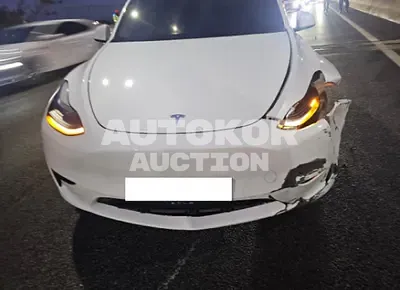 2023, Tesla / Model Y, electric