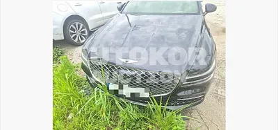 2023, Genesis / G80, gas, 2500 куб.см.