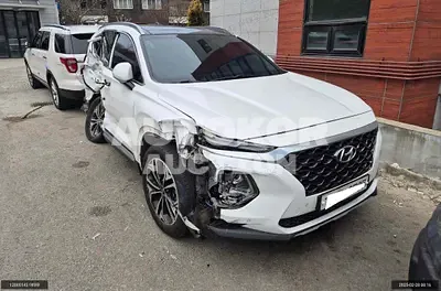 2019, Hyundai / Santa FE, VIN: KMHS281BBLU248659, diesel