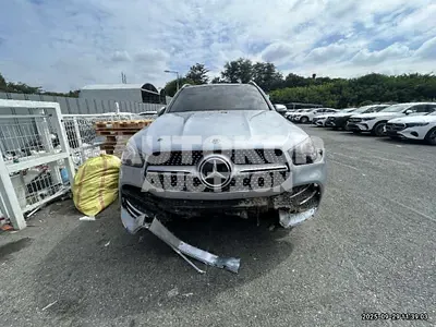 2023, Mercedes-Benz / GLE 450, gas