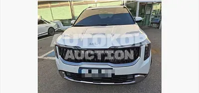 2026, Kia / Carnival, 3200 км., hybrid, 1598 куб.см.