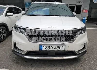 2022, Kia / Carnival, VIN: KNANE81BBNS173481, 300 км., diesel