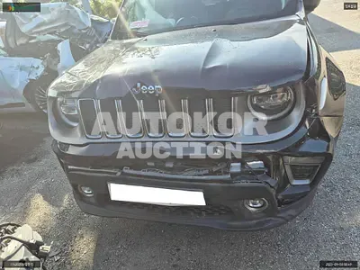 2020, Jeep / Renegade, VIN: 1C4BU0000LPL54058, 115485 км., diesel, 1600 куб.см.
