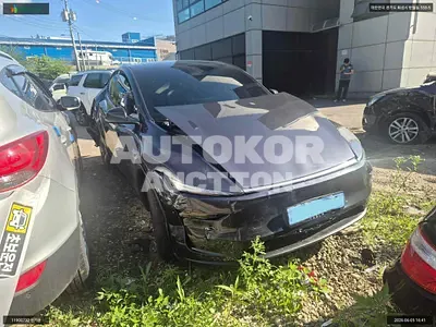 2026, Tesla / Model Y, VIN: LRWYGCFJ6TC613479, electric, 1 куб.см.