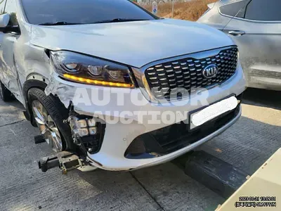 2019, Kia / Sorento, VIN: KNAPS81ADKA472502, diesel