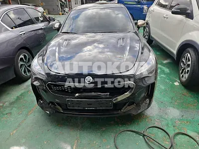 2020, Kia / Stinger, VIN: KNAE351ABLS082680, gas