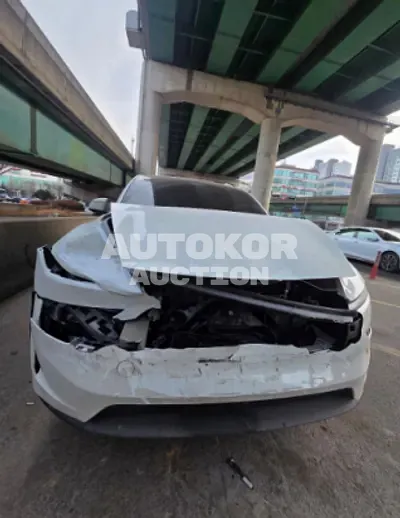 2025, Tesla / Model Y, 25000 км., electric