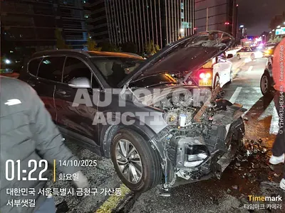 2019, Hyundai / Santa FE, VIN: KMHS281BBKU138213, 140071 км., diesel, 1995 куб.см.