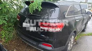 2016, Kia / Sorento, VIN: KNAPS81ABHA283099, 100000 км., diesel