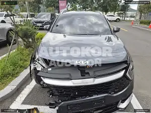 2024, Kia / Sportage, VIN: KNAPV81BGRK264084, gas
