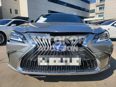 2019, Lexus / ES 300, hybrid