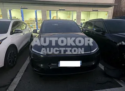 2025, Tesla / Model Y, VIN: LRWYGCEK7SC226125, 4692 км., electric