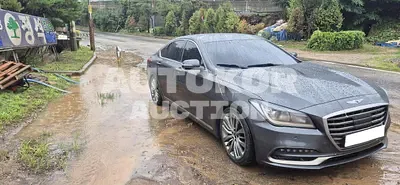 2019, Genesis / G80, VIN: KMHGM41DBKU324812, 69560 км., gas