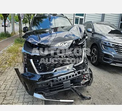 2024, Kia / Sorento, 111111 км., hybrid, 1600 куб.см.