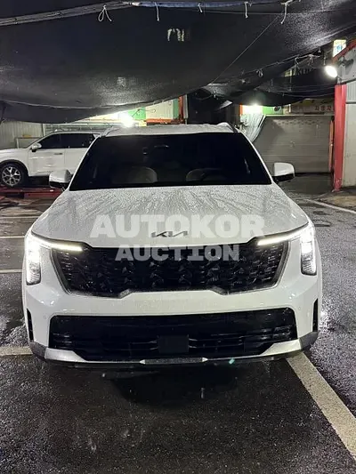 2024, Kia / Sorento, VIN: KNARJ81FHSA326109, gas, 2500 куб.см.