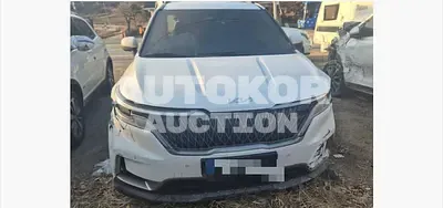 2023, Kia / Carnival, 12000 км., diesel, 2151 куб.см.