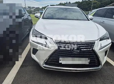 2019, Lexus / NX 300, 87576 км., hybrid